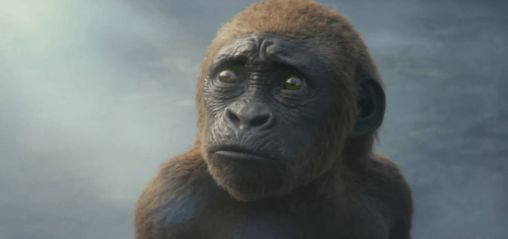 Годзила и Конг: Новая империя, годзилла, кинг конг, фильмы о монстрах, годзилла новый фильм