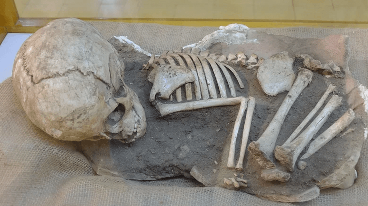 археология, скелеты, останки, древние люди, находка, скелеты младенцев