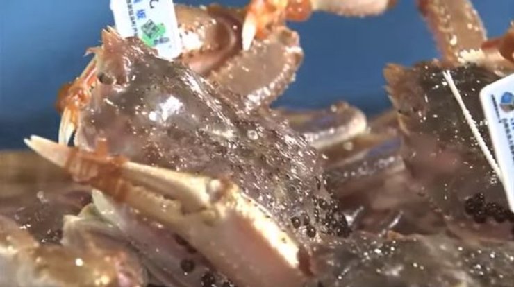 Самый дорогой краб в мире