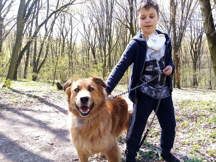 карантин, ужесточение карантина, коронавирус