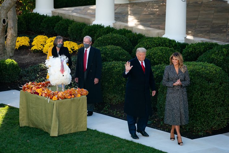 Дональд Трамп даровал помилование индейкам