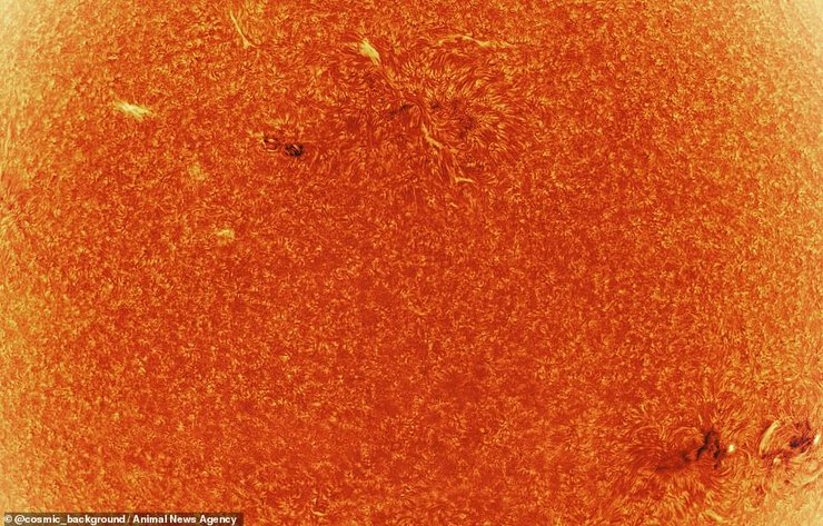 Солнце, вспышки, пятна, вихри, фото