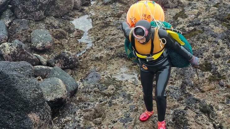 Хэне из Чеджу продолжают хорошо нырять в свои 80 лет и даже во время беременности