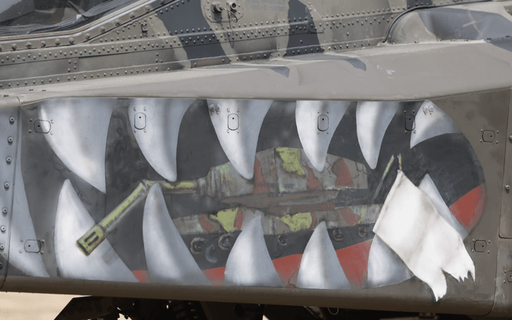 незвичний камуфляж black hawk