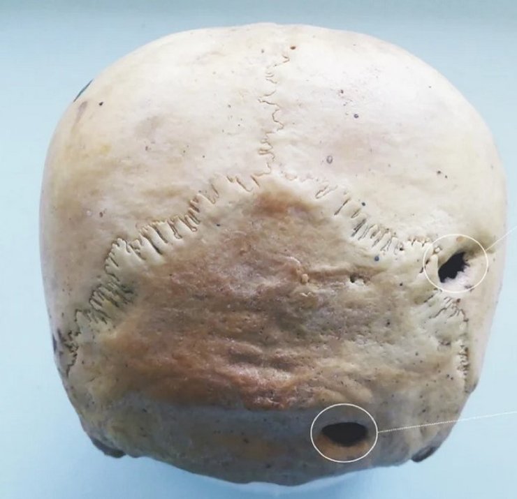 Череп стародавнього землероба з пустелі Атакама