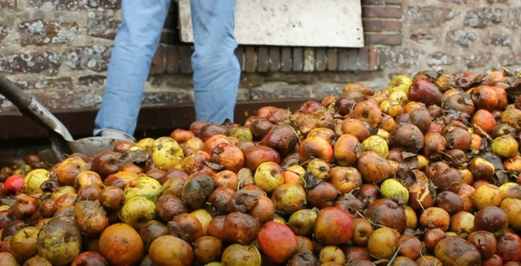 Виробництво сидру в Нормандії