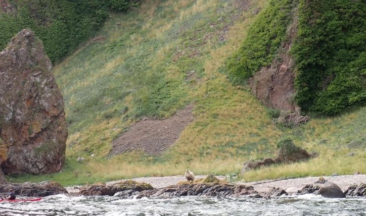 скалистый-берег-овца-необитаемый-остров 2