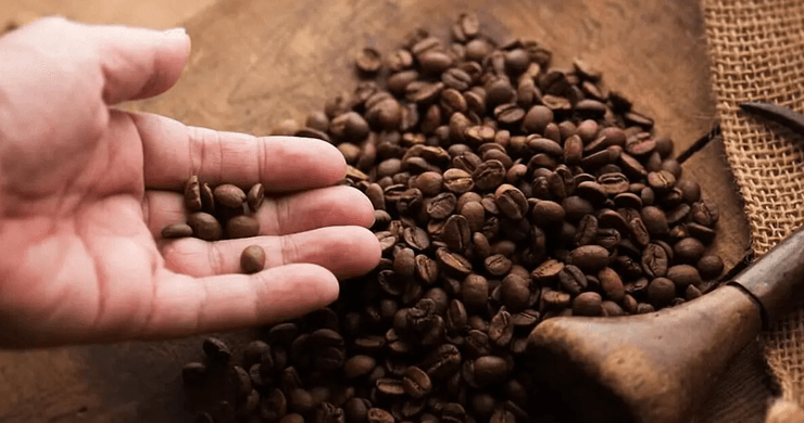 Чоловік вибирає кавові зерна