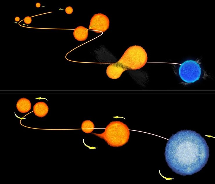 голубые страгглеры