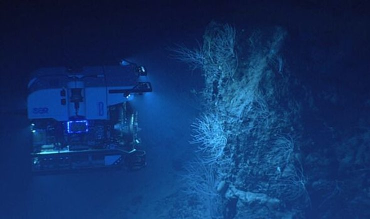 рифи, корали, вода, апарат, фото