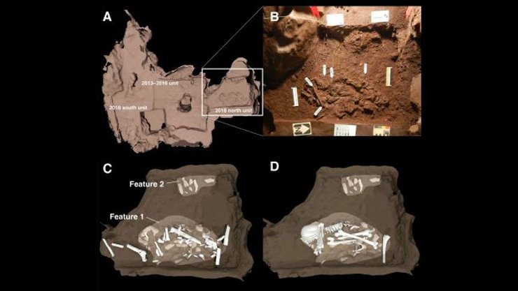 поховання, історія, печера, древні люди, предки людини, дослідження, розвиток людства, складна діяльність, археологія