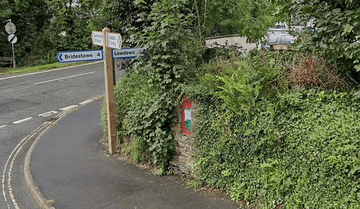 Равлики поїдають пошту, равлик, слимак, нашестя равликів, королівська пошта, поїдають листи, клей для конвертів, поштова скринька, настирливі равлики