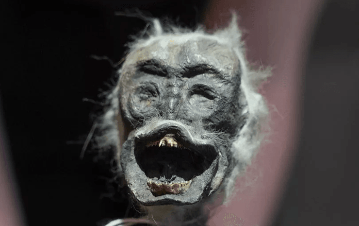 Мумия русалки, необычное существо, останки животного, русалка, экспонат русалки, японская мифология, исследование мумии