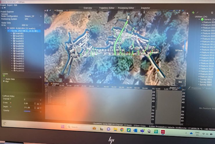 вомбат норы