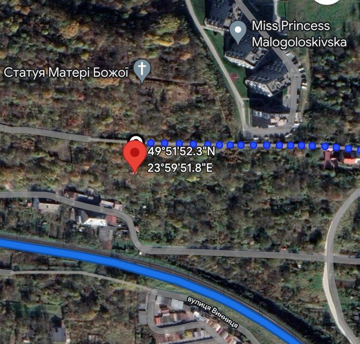 Убийство Ирины Фарион