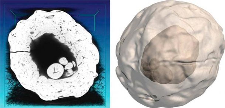 куля, Месопотамія, глина, артефакт, історія, жетон, моделювання, комп’ютерна томографія, реліквія, знахідка, кулька, археологія, контракт, транзакція