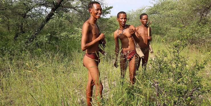 бушмены, африканские племена, Африка