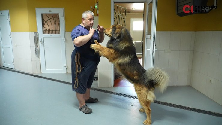 Петр Петрович, Межигорье