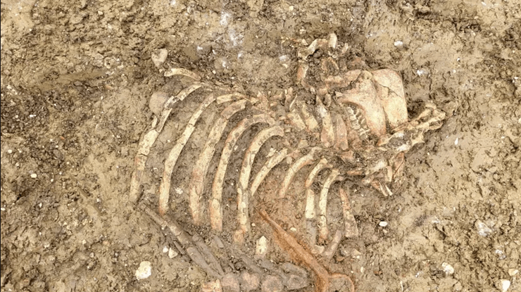 бронзовий вік, тягарець, верстат, знахідка, дорога, розкопки, археологи, Британія, спадщина, стилус