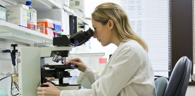 вчені, файли, мікроскоп