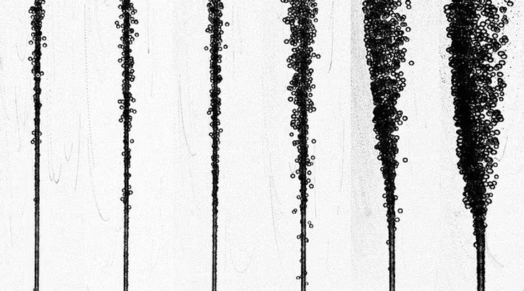 шампанское пузыри движение