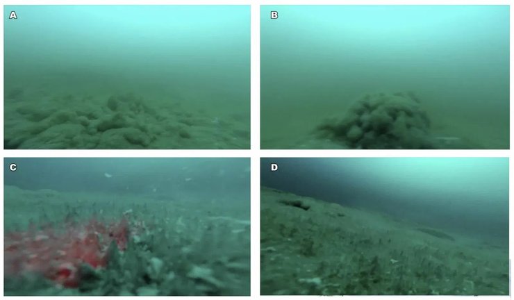 озеро эигма, замерзшее озеро, озеро энигма жизнь