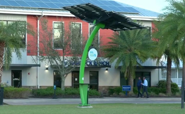 Солнечное дерево в Бабкок-Ранч