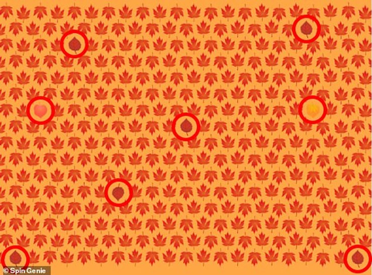 Сезонний тест на ідеальний зір