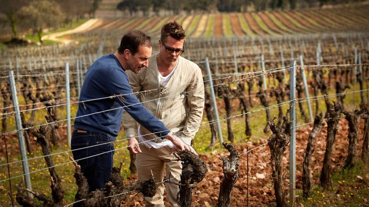 шато мираваль, винодельня, брэд питт