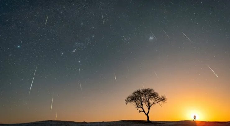 Гемініди 2025