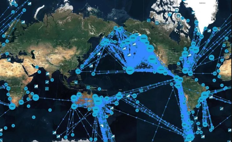 киты передвижение океан