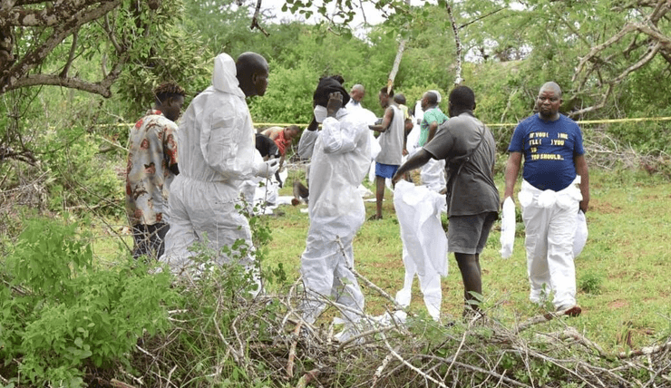 Полиция, поиск, жертвы, люди,