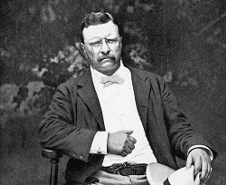   "Примерный гражданин нашей республики в первую очередь должен быть готов нести свою ношу" Теодор Рузвельт, 26-й президент США 