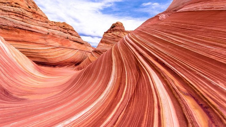 волна аризона