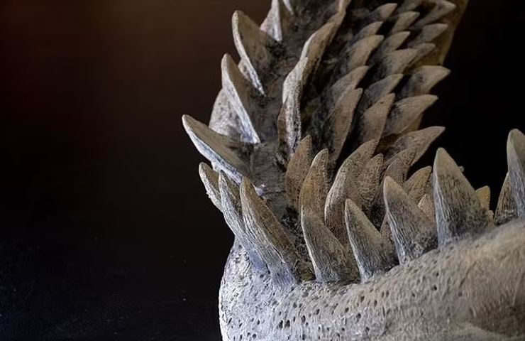 мегалодон, зубы мегалодон