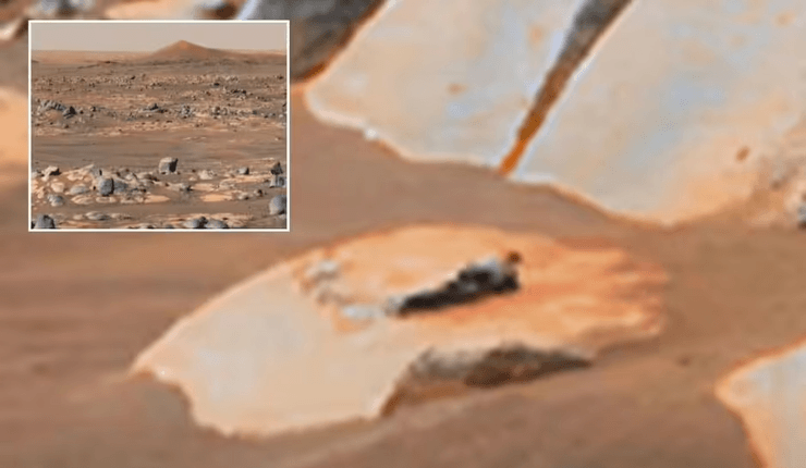 Жизнь на Марсе, пришелец, инопланетянин, Марс, красная планета, космос, внеземная жизнь, NASA, снимок NASA, знаток НЛО, НЛО,