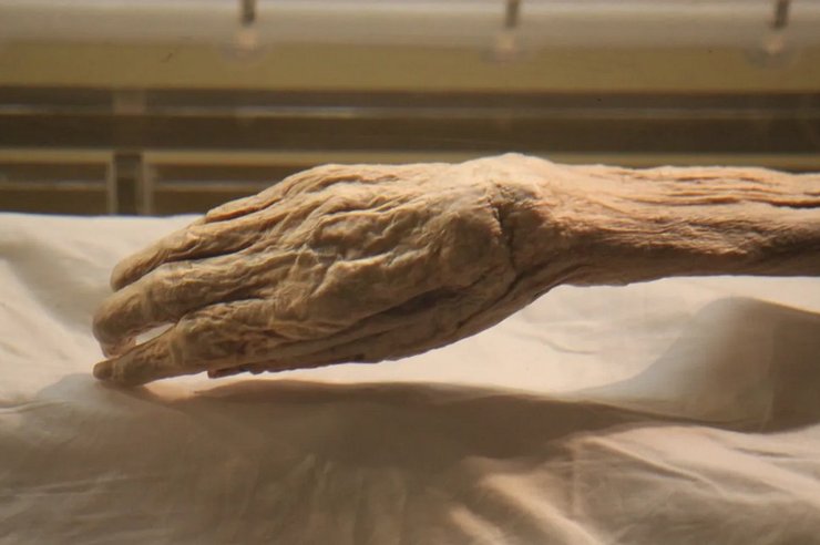 мумия Синь Чжуй