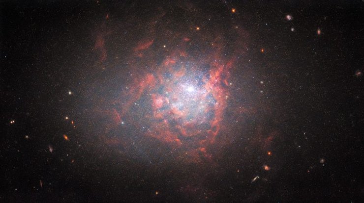 Карликовая галактика, NGC 1705