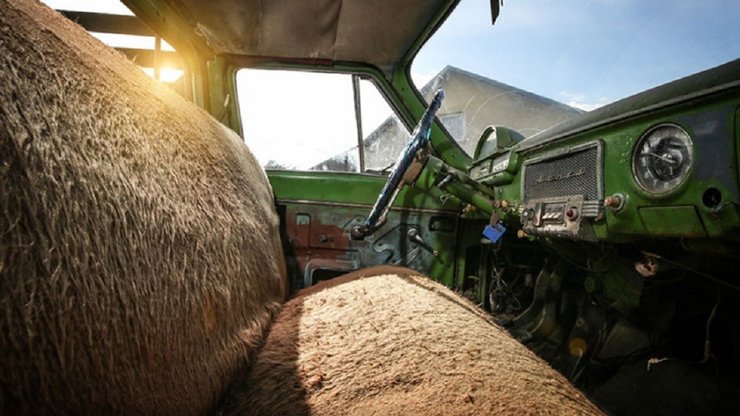 Пікап ГАЗ-21, пікап Волга, ГАЗ-21 Волга, Волга, ГАЗ-21