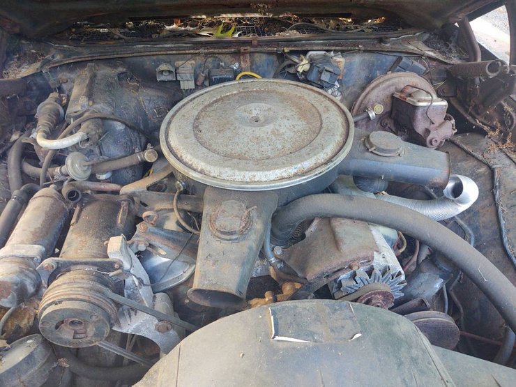 Pontiac GTO The Judge, Pontiac GTO 1970, Pontiac GTO