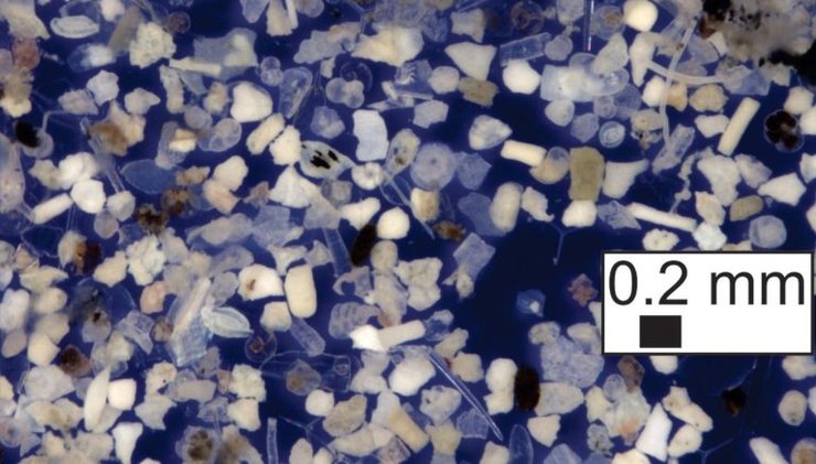 частинки в океані, океан частинки