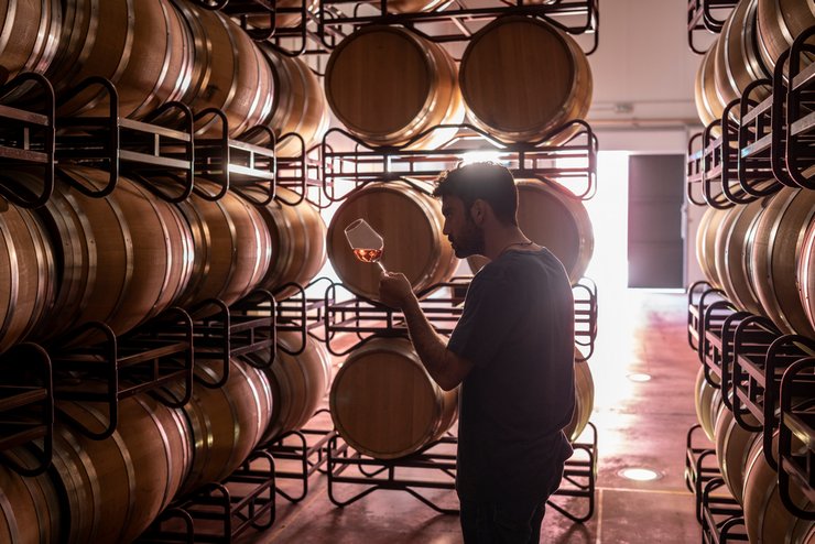 фото, винные бочки, розовое вино