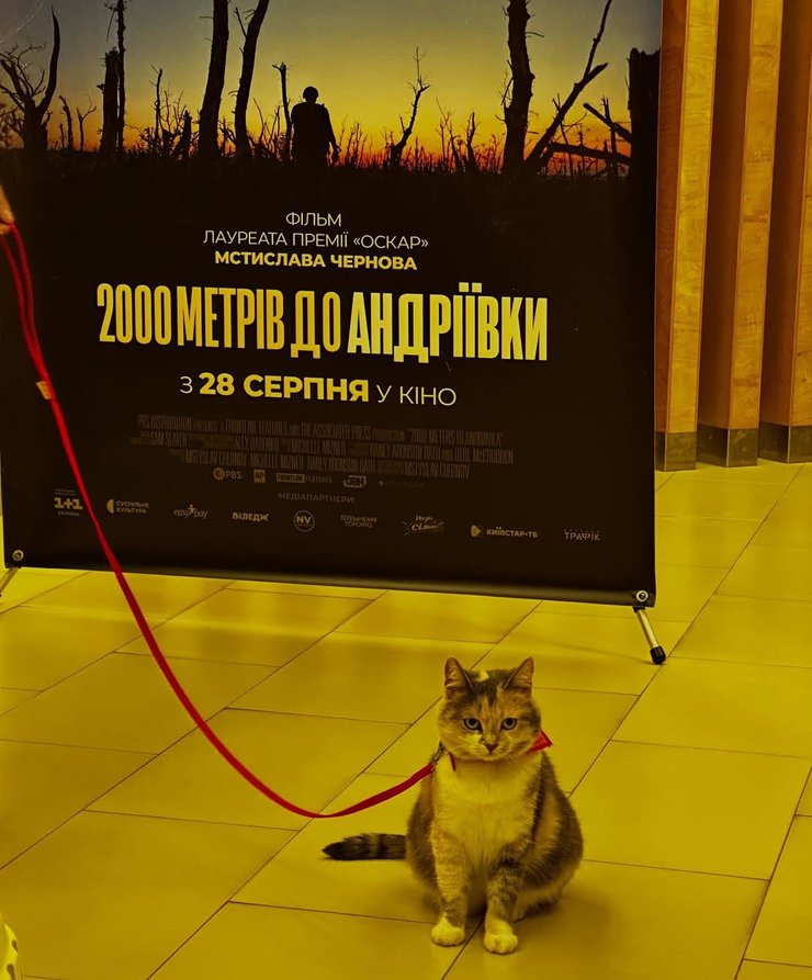 "2000 метров до Андреевки" фильм Мстислава Чернова