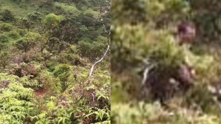 Пропавший без вести подросток, нераскрытое дело, загадочный человек, улика, лестница Хайку, лестница в небо