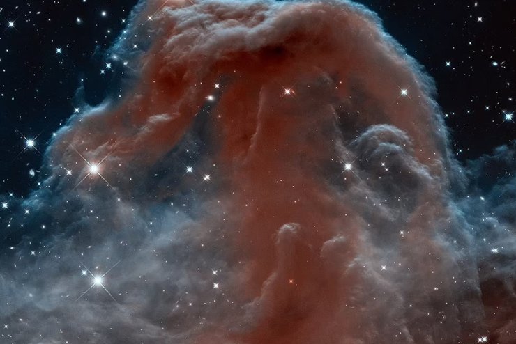 Туманность Конская Голова