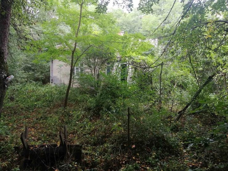 Переїзд з міста в село, життя на природі, пара купила хату в селі за 4 тисячі доларів, як вони там живуть