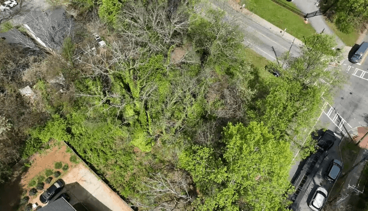 Участок со снесенным домом, участок земли, снесли дом по ошибке, конфискация имущества, участок в историческом районе