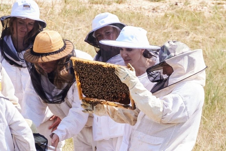 Women for Bees, анджелина джоли