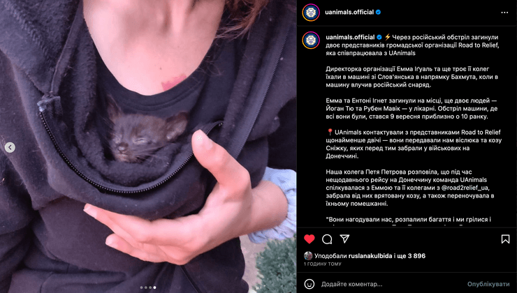 Котенок, которого спасла Эмма Игуаль