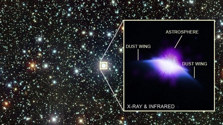 звезда HD 61005